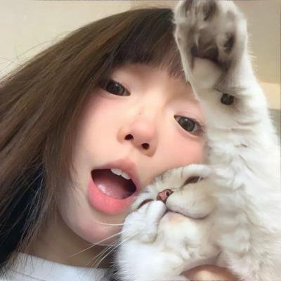 护垫侠 封面